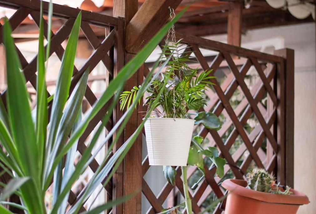 Esclusivo A Trastevere Con Terrazzo Apartamento Roma