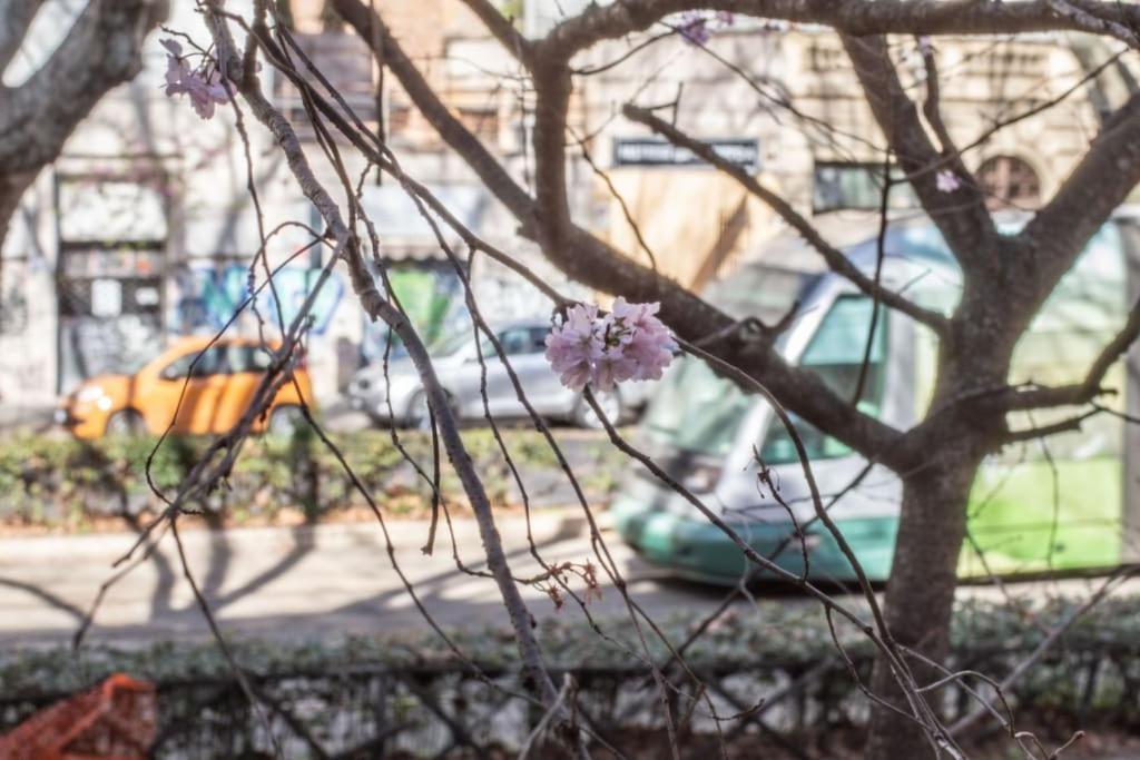 Esclusivo A Trastevere Con Terrazzo Roma
